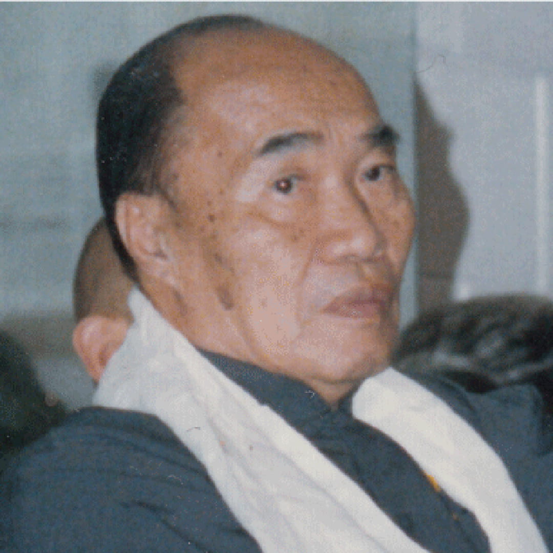 taiji master huangxingxian